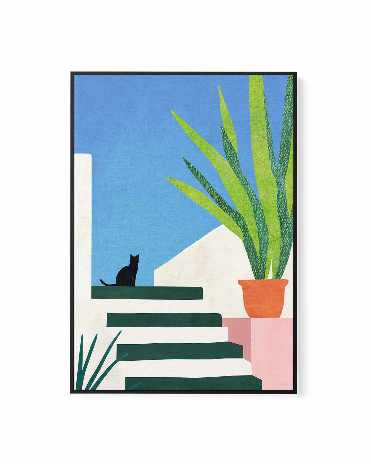 Cat, Greece by Henry Rivers | Framed Canvas Art Print