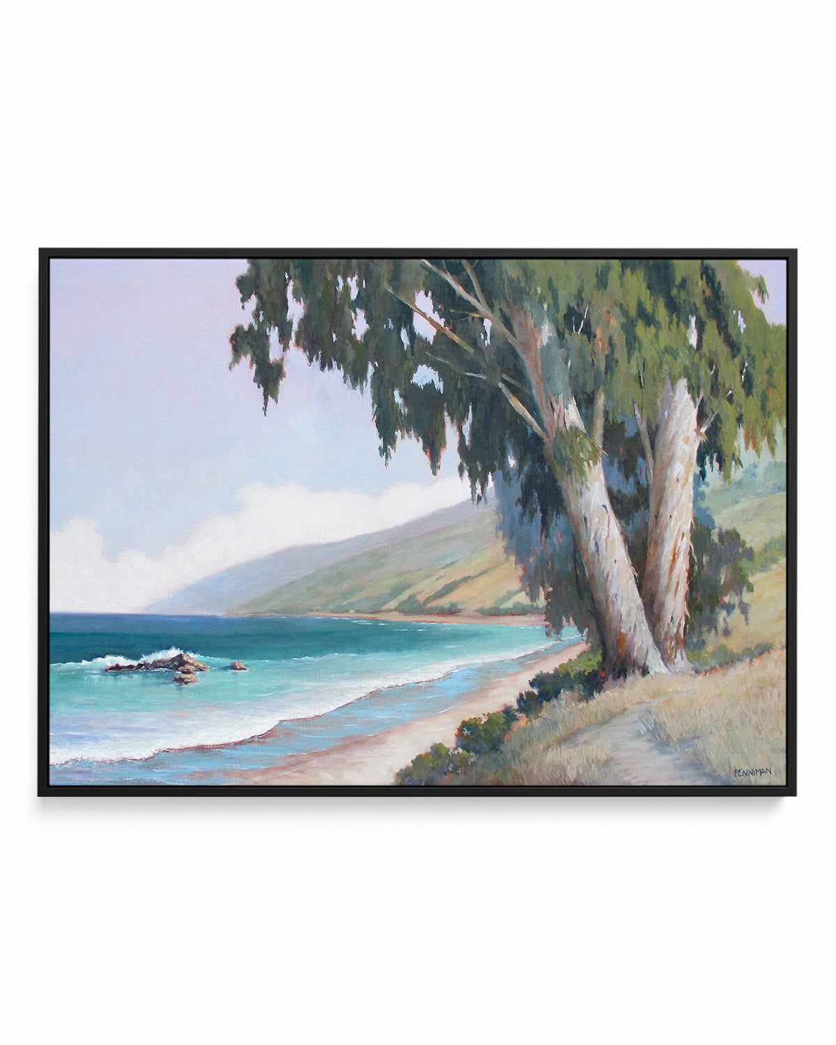 Central California Coast by Ed Penniman | Framed Canvas Art Print