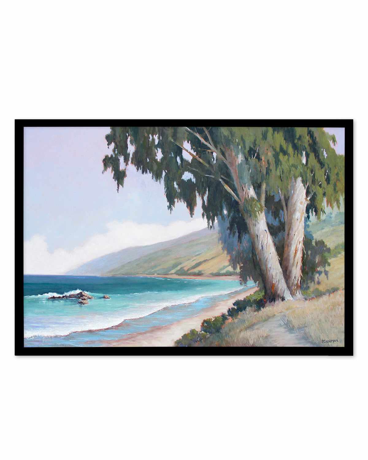 Central California Coast by Ed Penniman Art Print