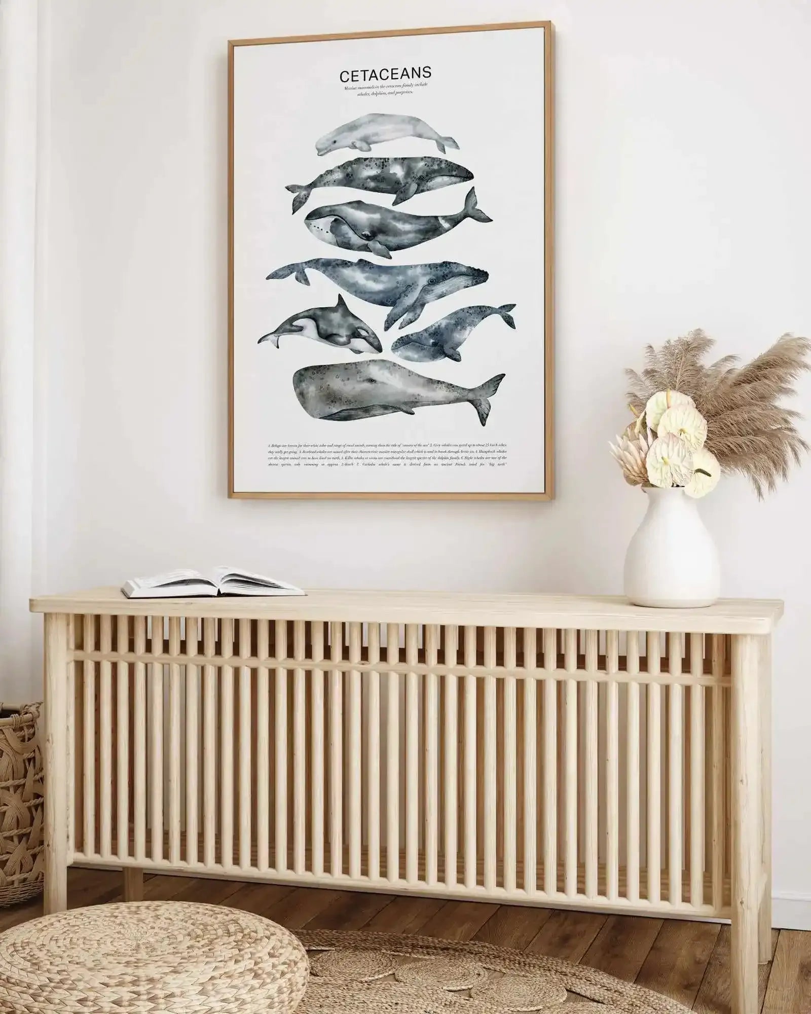 Cetaceans Chart | Framed Canvas Art Print from Olive et Oriel where you can shop wallpaper and artworks online