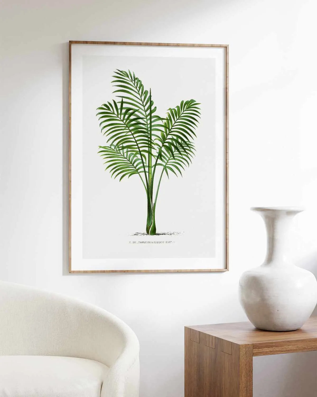Chamaedorea Elegans Vintage Palm Poster Art Print from Olive et Oriel where you can shop wallpaper and artworks online