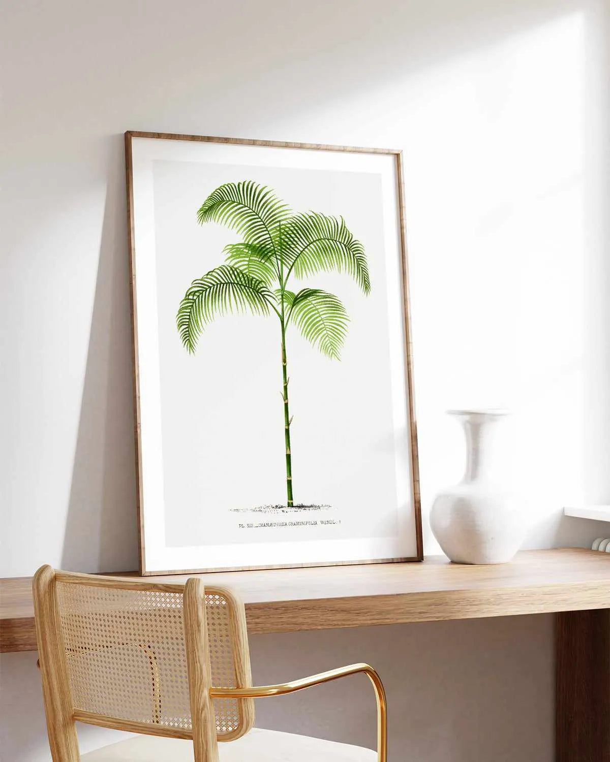 Chamaedorea Graminifolia Vintage Palm Poster Art Print from Olive et Oriel where you can shop wallpaper and artworks online