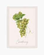 Chardonnay Art Print