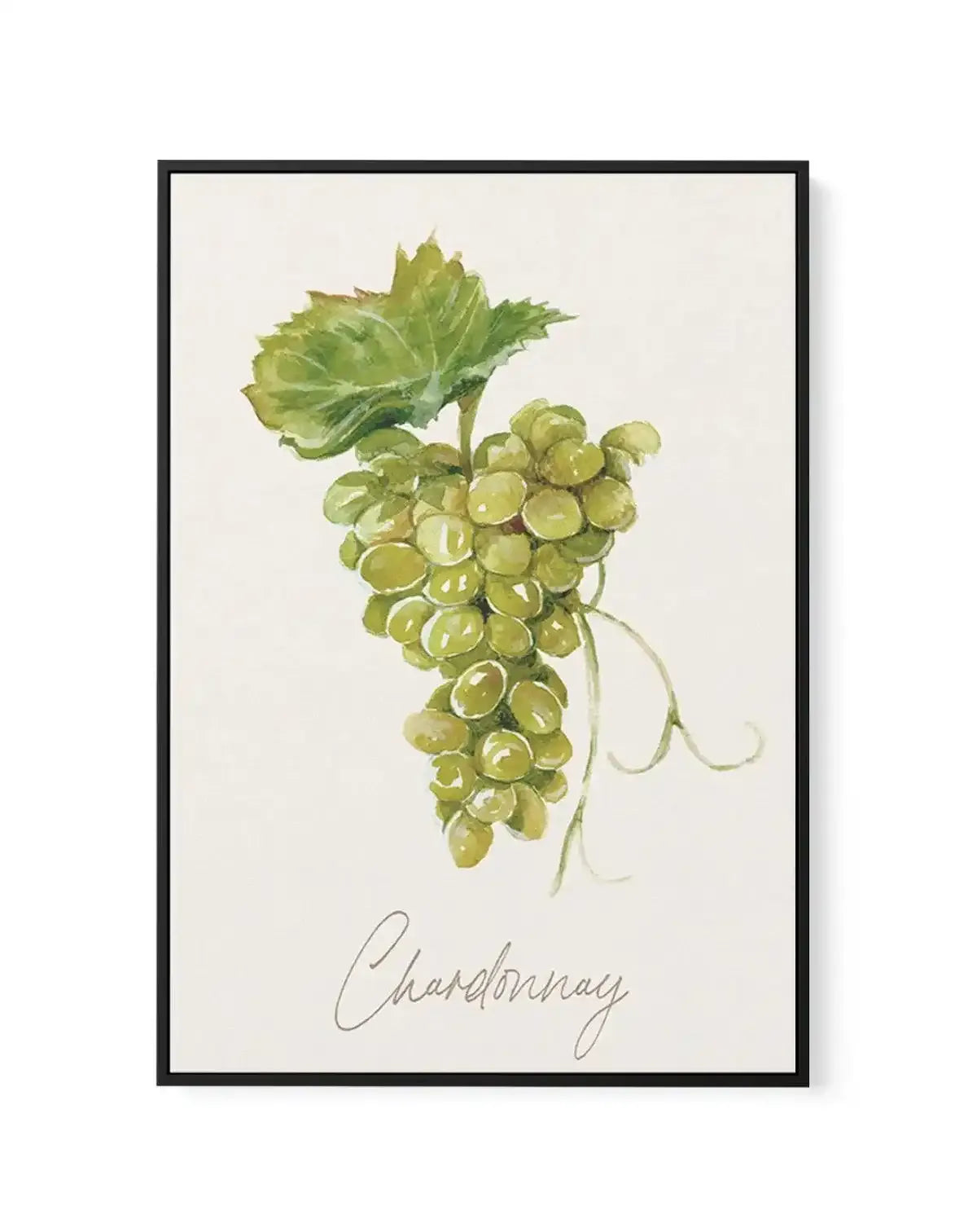 Chardonnay | Framed Canvas-CANVAS-You can shop wall art online with Olive et Oriel for everything from abstract art to fun kids wall art. Our beautiful modern art prints and canvas art are available from large canvas prints to wall art paintings and our proudly Australian artwork collection offers only the highest quality framed large wall art and canvas art Australia - You can buy fashion photography prints or Hampton print posters and paintings on canvas from Olive et Oriel and have them deliv