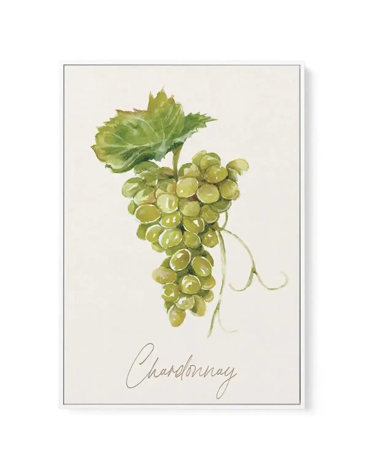 Chardonnay | Framed Canvas-CANVAS-You can shop wall art online with Olive et Oriel for everything from abstract art to fun kids wall art. Our beautiful modern art prints and canvas art are available from large canvas prints to wall art paintings and our proudly Australian artwork collection offers only the highest quality framed large wall art and canvas art Australia - You can buy fashion photography prints or Hampton print posters and paintings on canvas from Olive et Oriel and have them deliv