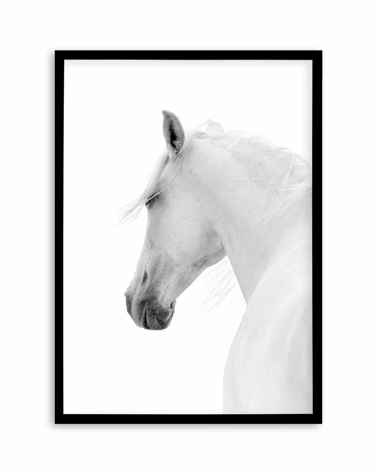 Cheval de L'esprit Art Print