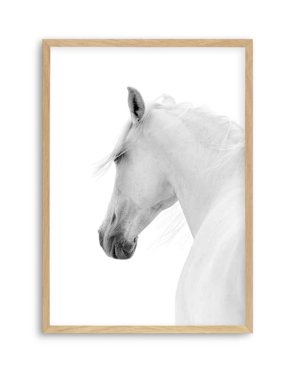 Cheval de L'esprit Art Print