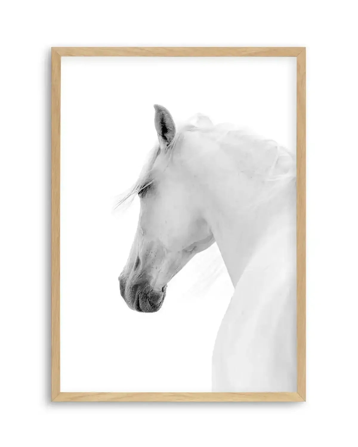 Cheval de L'esprit Art Print from Olive et Oriel where you can shop wallpaper and artworks online