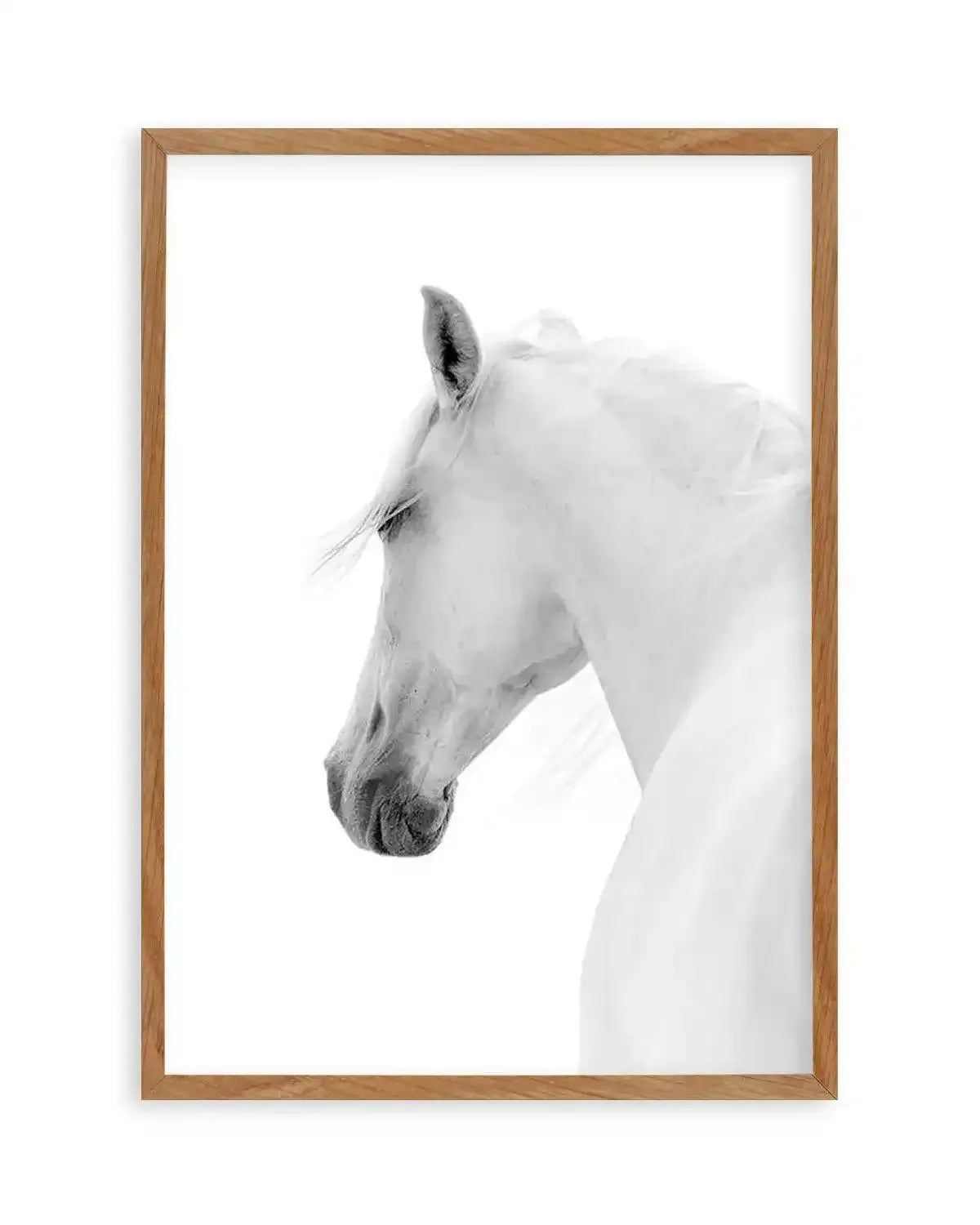 Cheval de L'esprit Art Print from Olive et Oriel where you can shop wallpaper and artworks online