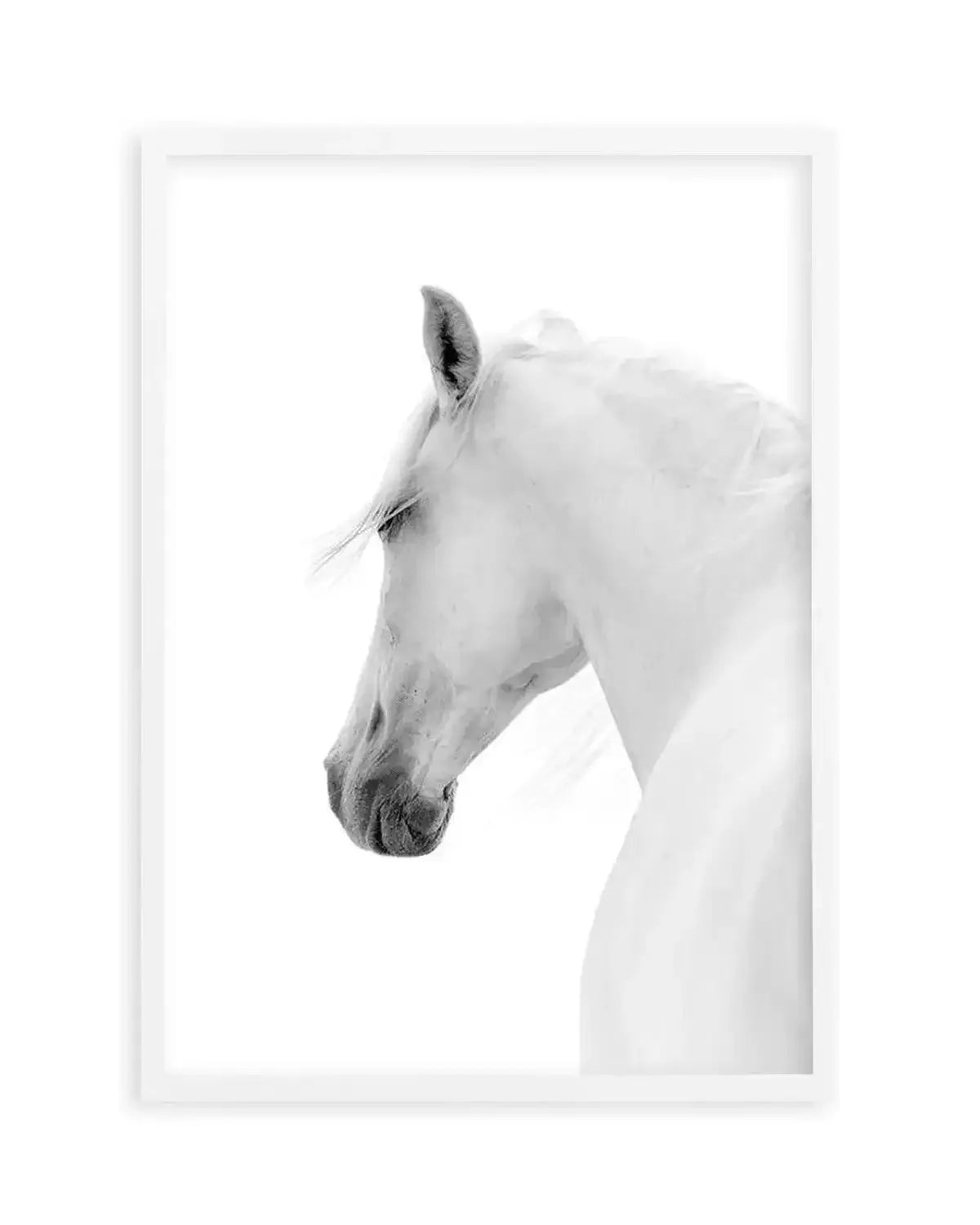 Cheval de L'esprit Art Print from Olive et Oriel where you can shop wallpaper and artworks online