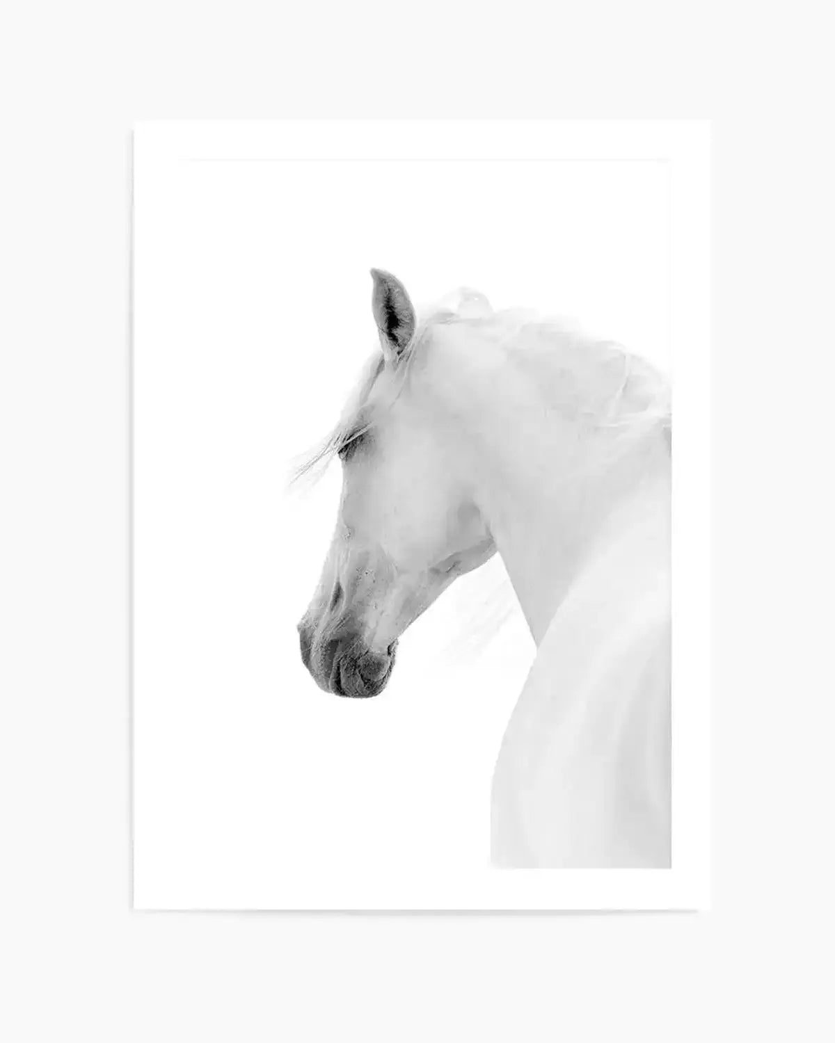 Cheval de L'esprit Art Print from Olive et Oriel where you can shop wallpaper and artworks online
