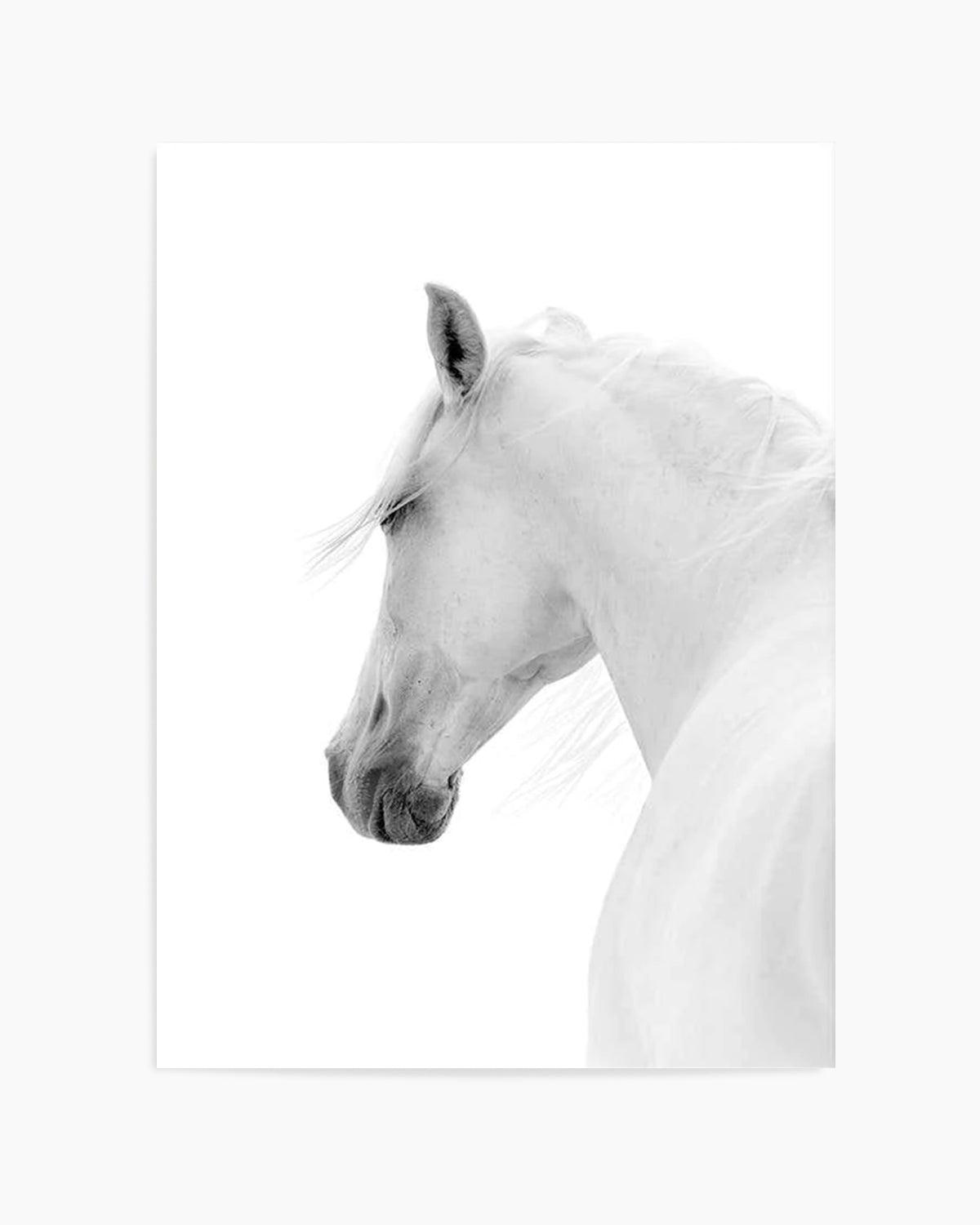 Cheval de L'esprit Art Print