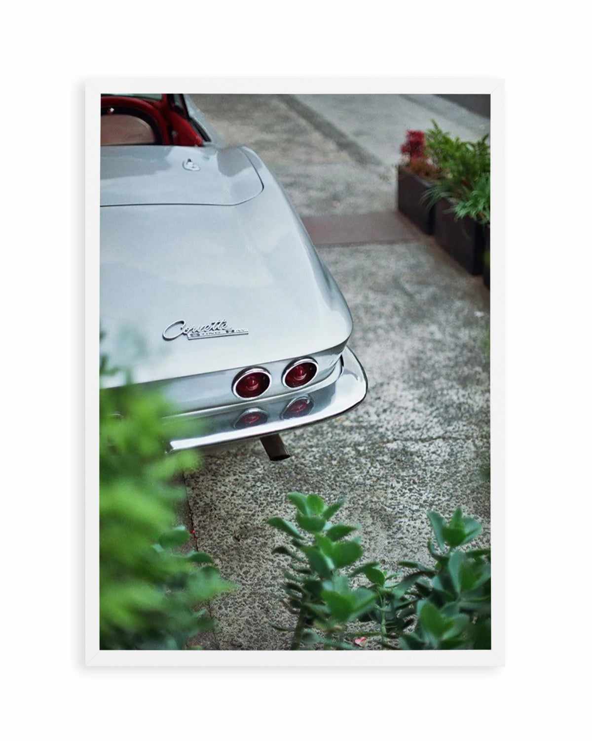 Chevrolet Corvette by Cameron Dawes Art Print