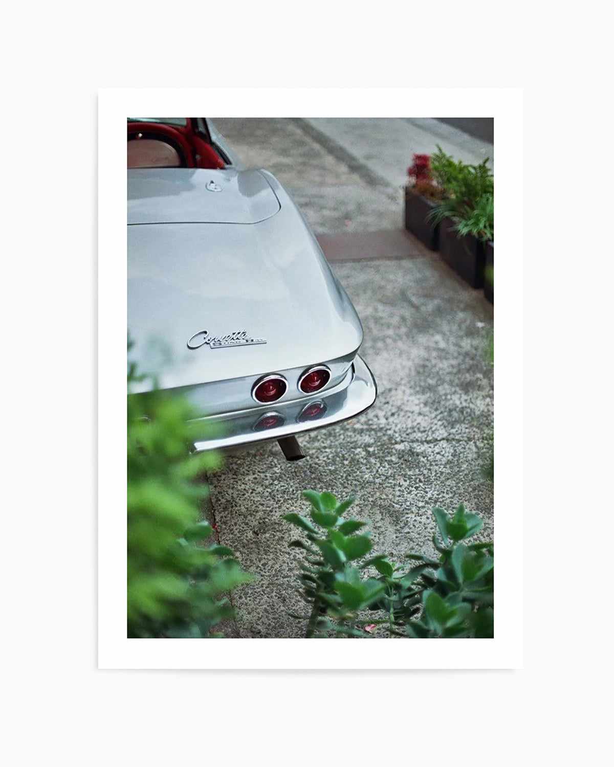 Chevrolet Corvette by Cameron Dawes Art Print