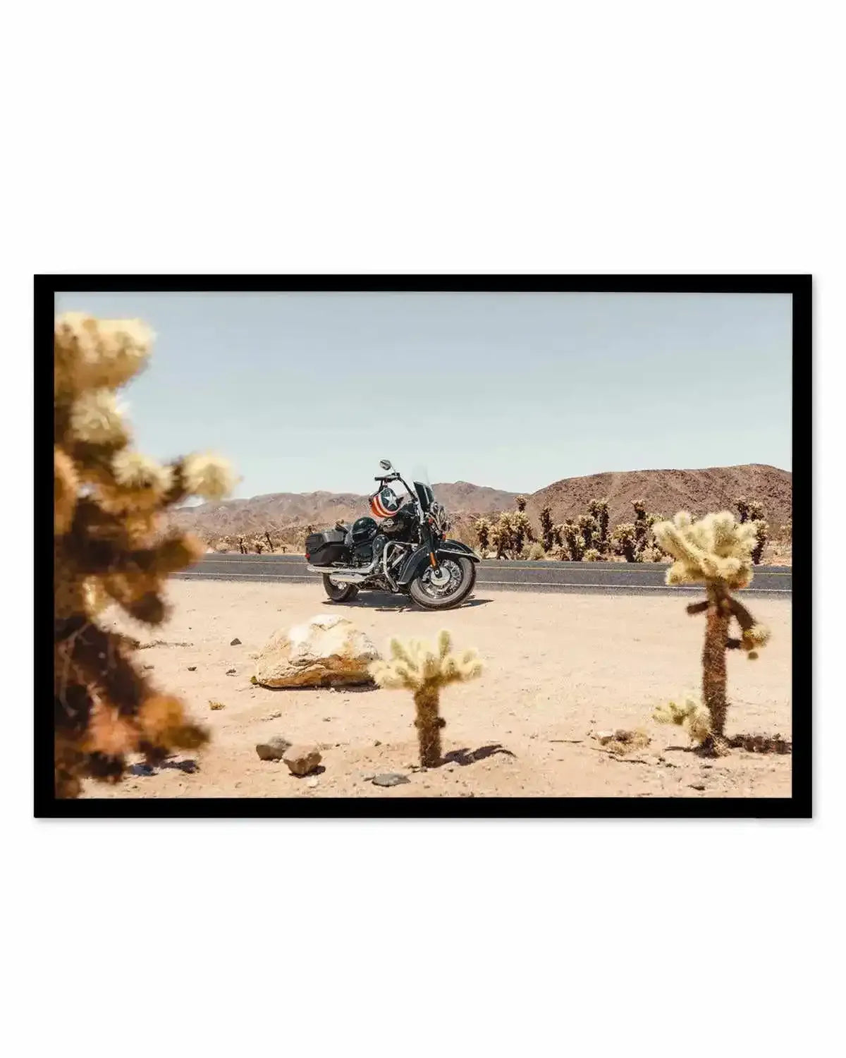 Cholla Garden By Tim Harris Art Print from Olive et Oriel where you can shop wallpaper and artworks online