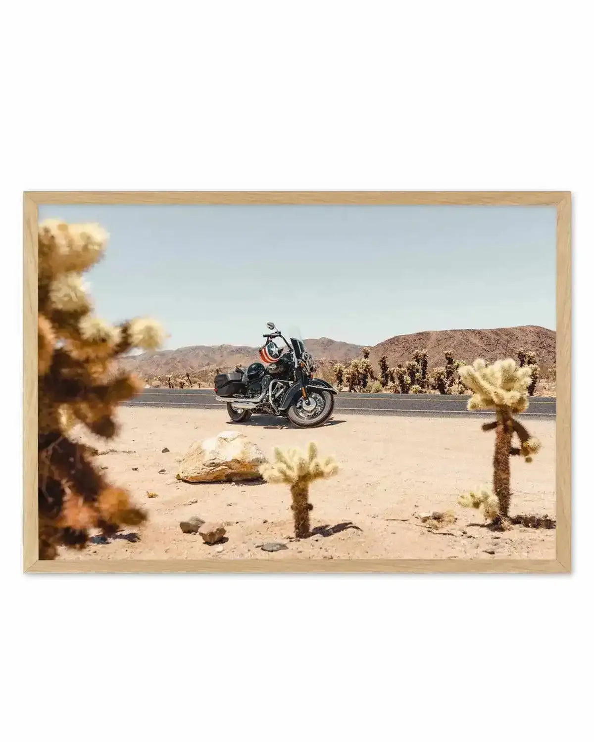 Cholla Garden By Tim Harris Art Print from Olive et Oriel where you can shop wallpaper and artworks online