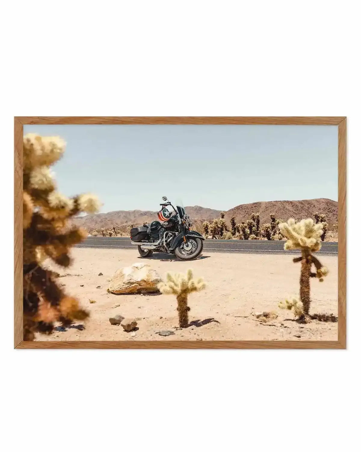 Cholla Garden By Tim Harris Art Print from Olive et Oriel where you can shop wallpaper and artworks online