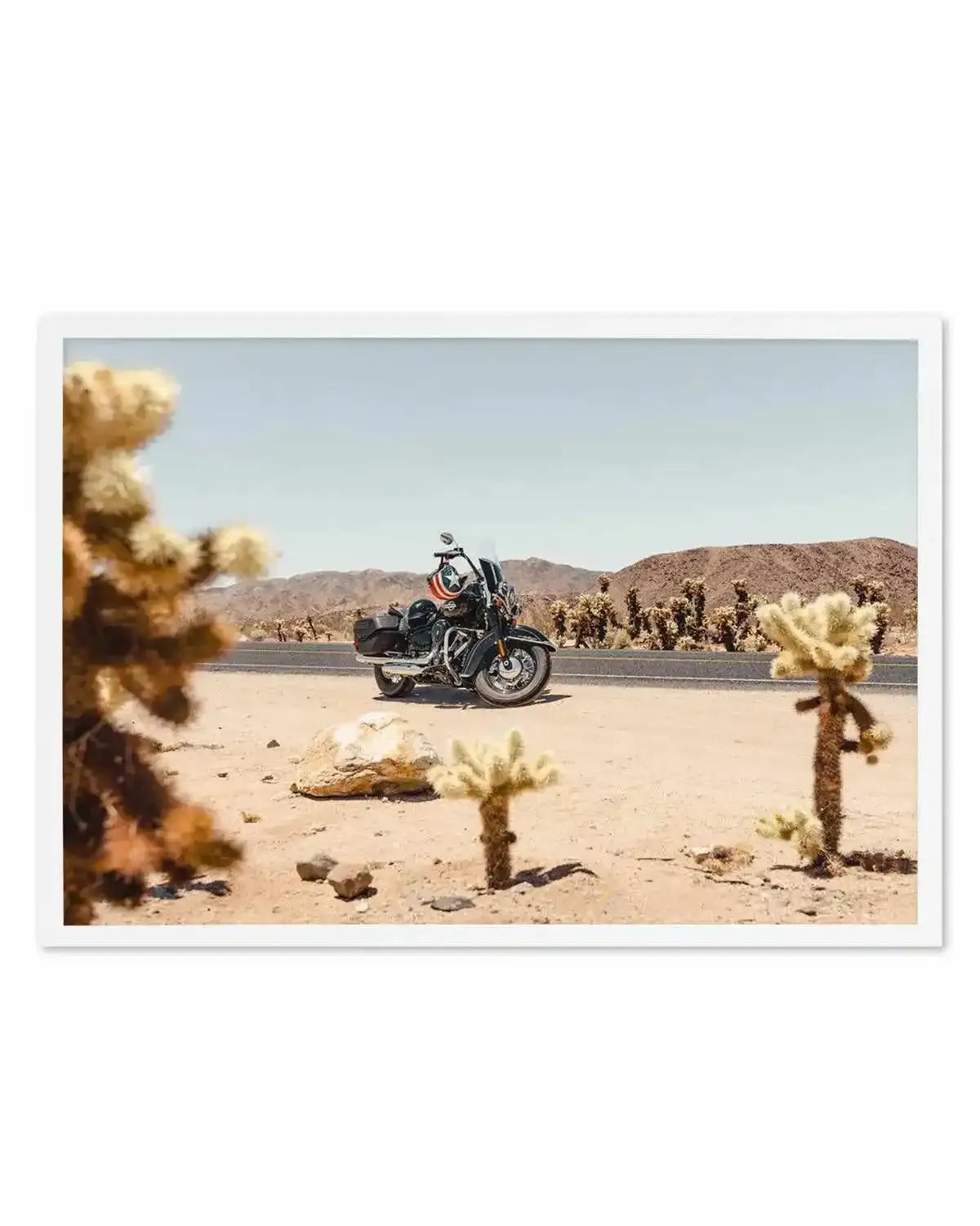 Cholla Garden By Tim Harris Art Print from Olive et Oriel where you can shop wallpaper and artworks online