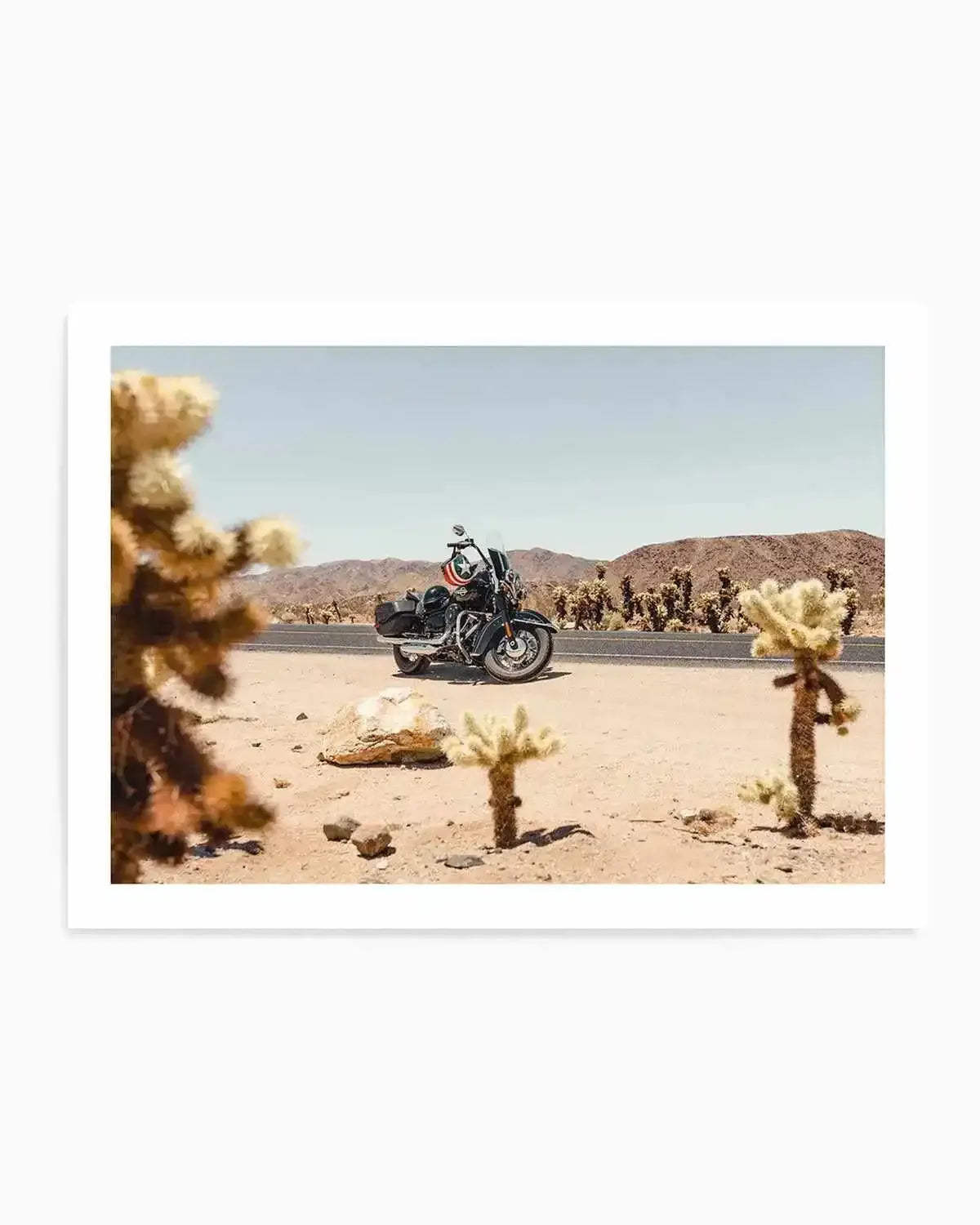 Cholla Garden By Tim Harris Art Print from Olive et Oriel where you can shop wallpaper and artworks online