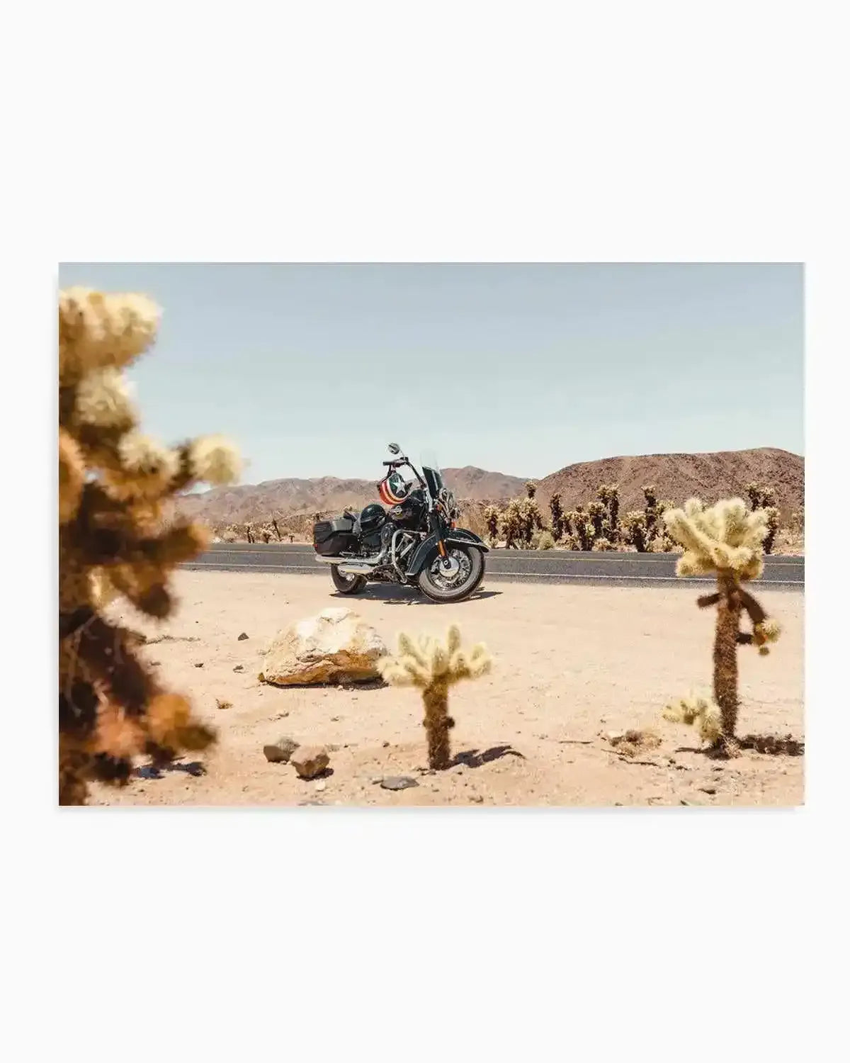 Cholla Garden By Tim Harris Art Print from Olive et Oriel where you can shop wallpaper and artworks online