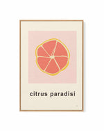 Citrus Paradisi I by Anna Morner | Framed Canvas Art Print