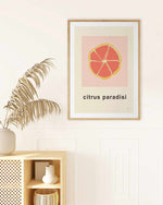 Citrus Paradisi I by Anna Morner Art Print