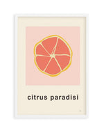 Citrus Paradisi I by Anna Morner Art Print