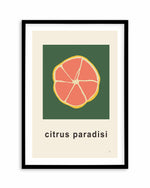 Citrus Paradisi II by Anna Morner Art Print