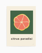 Citrus Paradisi II by Anna Morner Art Print