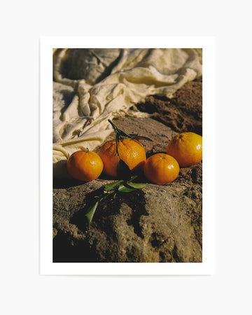 Citrus Sun by Carson Grzegorczyk | Art Print