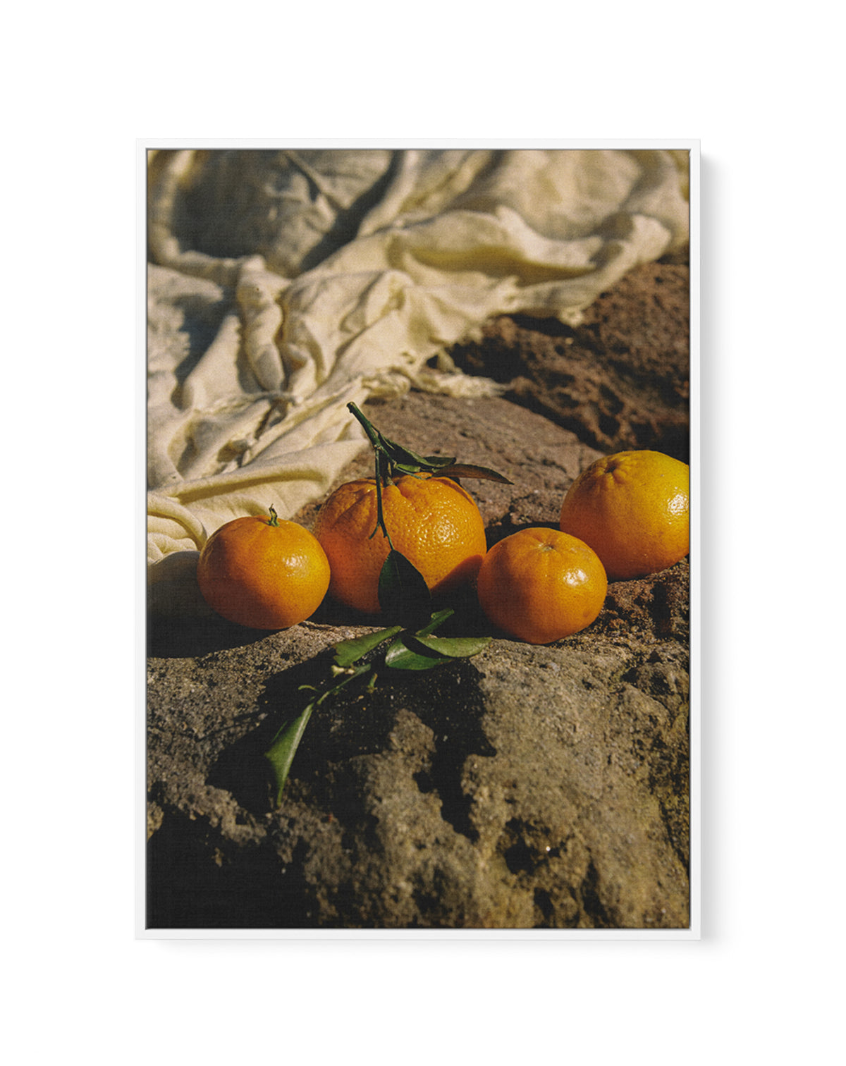 Citrus Sun by Carson Grzegorczyk | Framed Canvas Wall Art
