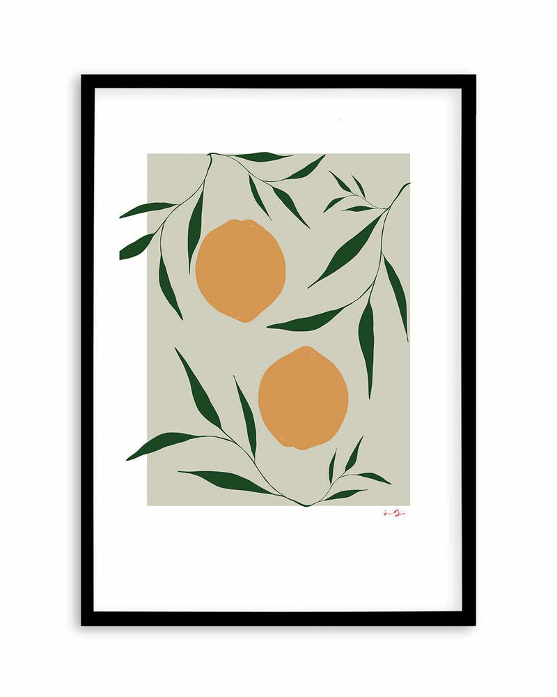 Citrus on Sage by Anna Morner Art Print