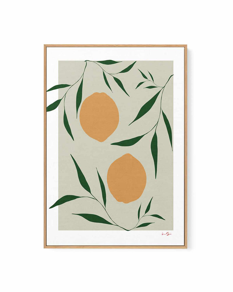 Citrus on Sage by Anna Morner | Framed Canvas Art Print