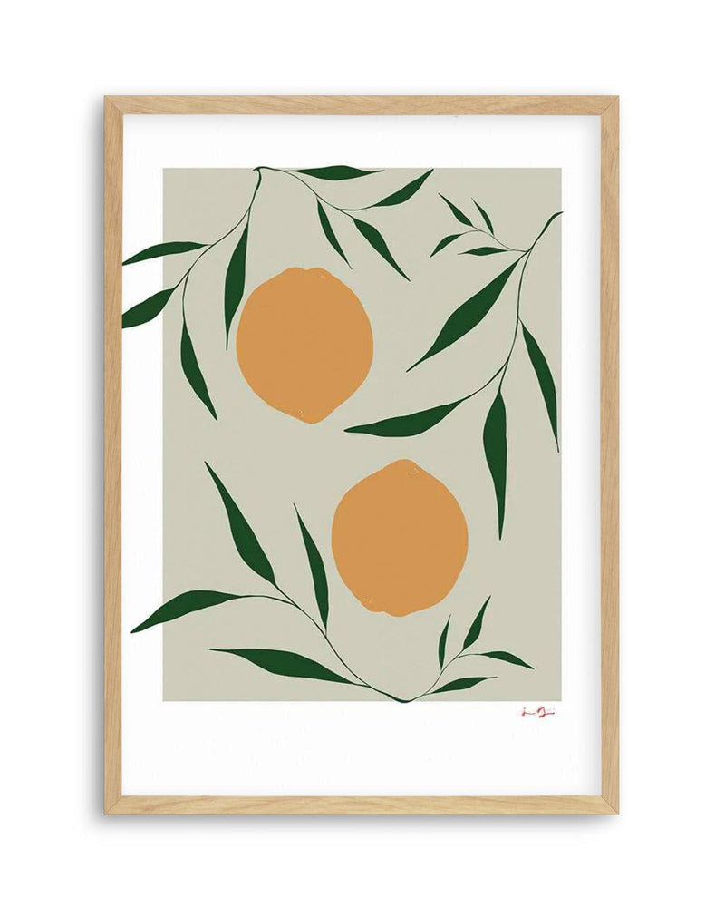 Citrus on Sage by Anna Morner Art Print
