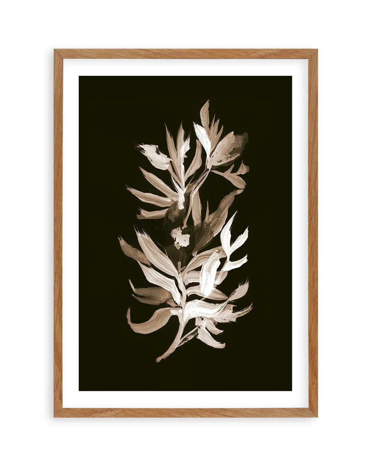 Classic Bloom by Dan Hobday Art Print-PRINT-Olive et Oriel-Dan Hobday-Buy-Australian-Art-Prints-Online-with-Olive-et-Oriel-Your-Artwork-Specialists-Austrailia-Decorate-With-Coastal-Photo-Wall-Art-Prints-From-Our-Beach-House-Artwork-Collection-Fine-Poster-and-Framed-Artwork