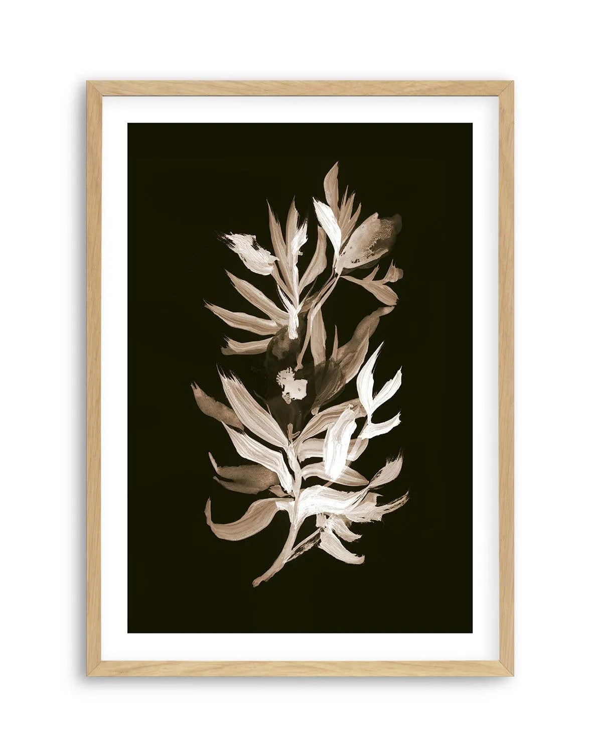 Classic Bloom by Dan Hobday Art Print-PRINT-Olive et Oriel-Dan Hobday-Buy-Australian-Art-Prints-Online-with-Olive-et-Oriel-Your-Artwork-Specialists-Austrailia-Decorate-With-Coastal-Photo-Wall-Art-Prints-From-Our-Beach-House-Artwork-Collection-Fine-Poster-and-Framed-Artwork