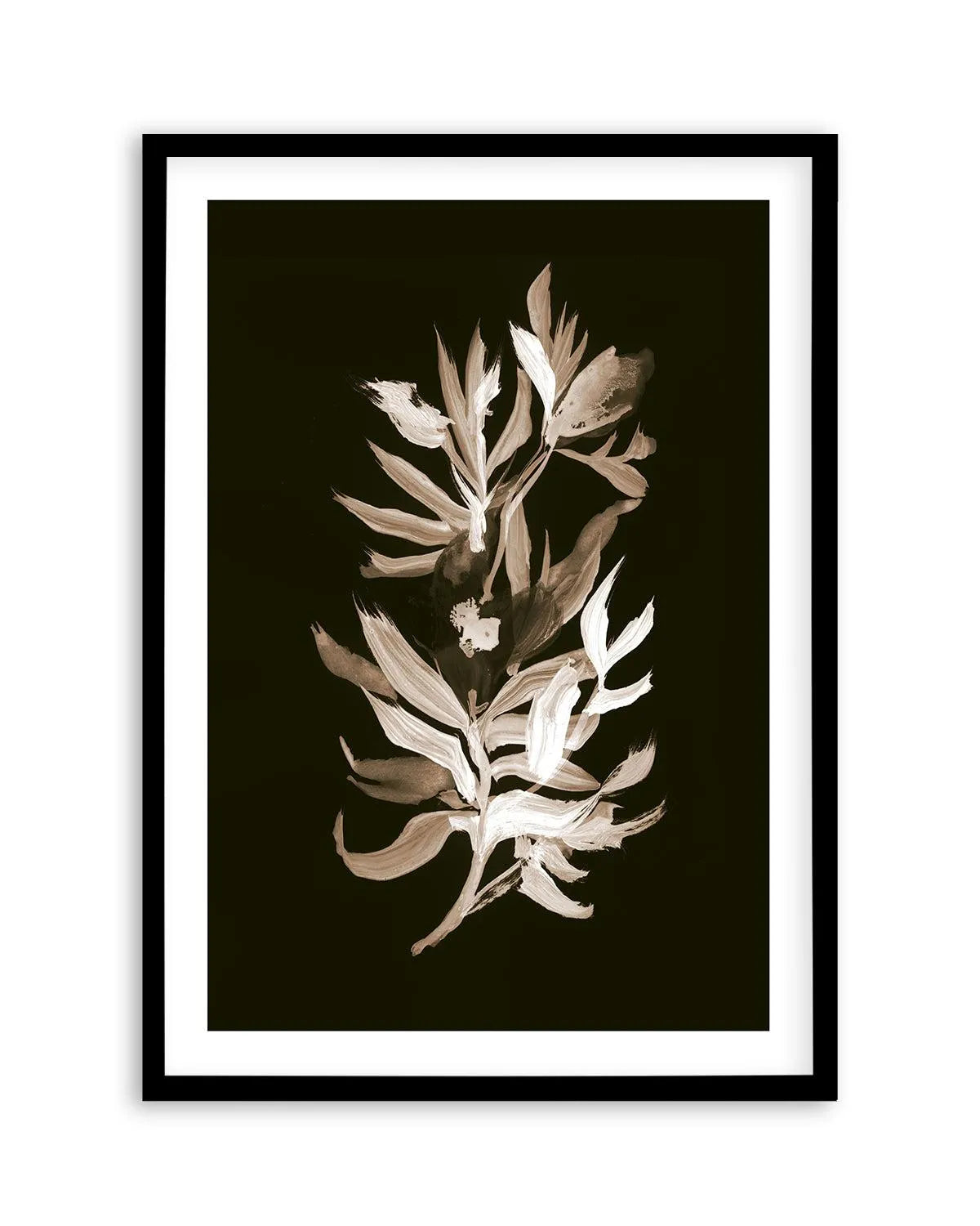 Classic Bloom by Dan Hobday Art Print-PRINT-Olive et Oriel-Dan Hobday-Buy-Australian-Art-Prints-Online-with-Olive-et-Oriel-Your-Artwork-Specialists-Austrailia-Decorate-With-Coastal-Photo-Wall-Art-Prints-From-Our-Beach-House-Artwork-Collection-Fine-Poster-and-Framed-Artwork