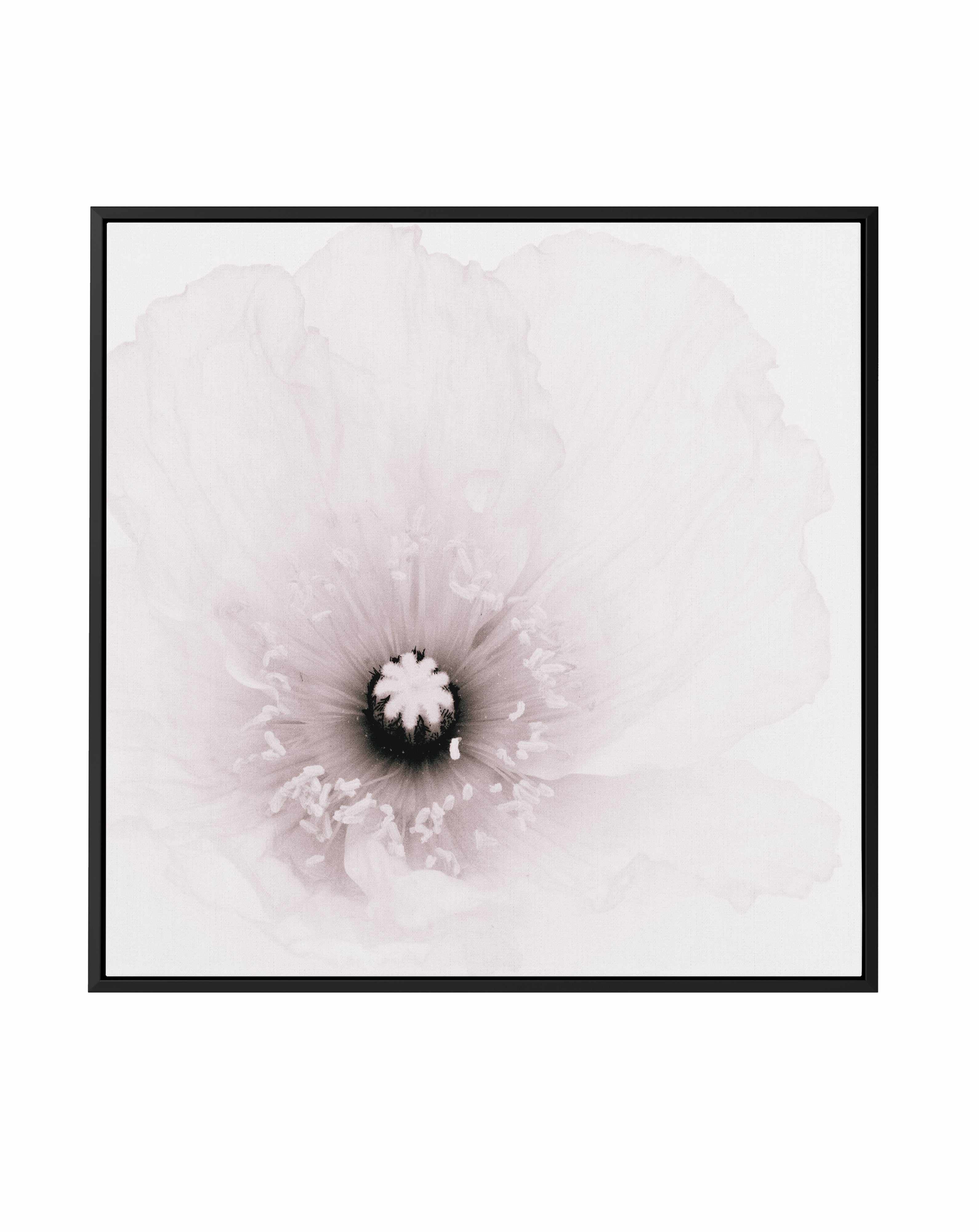 Classic Poppy | Framed Canvas Art Print