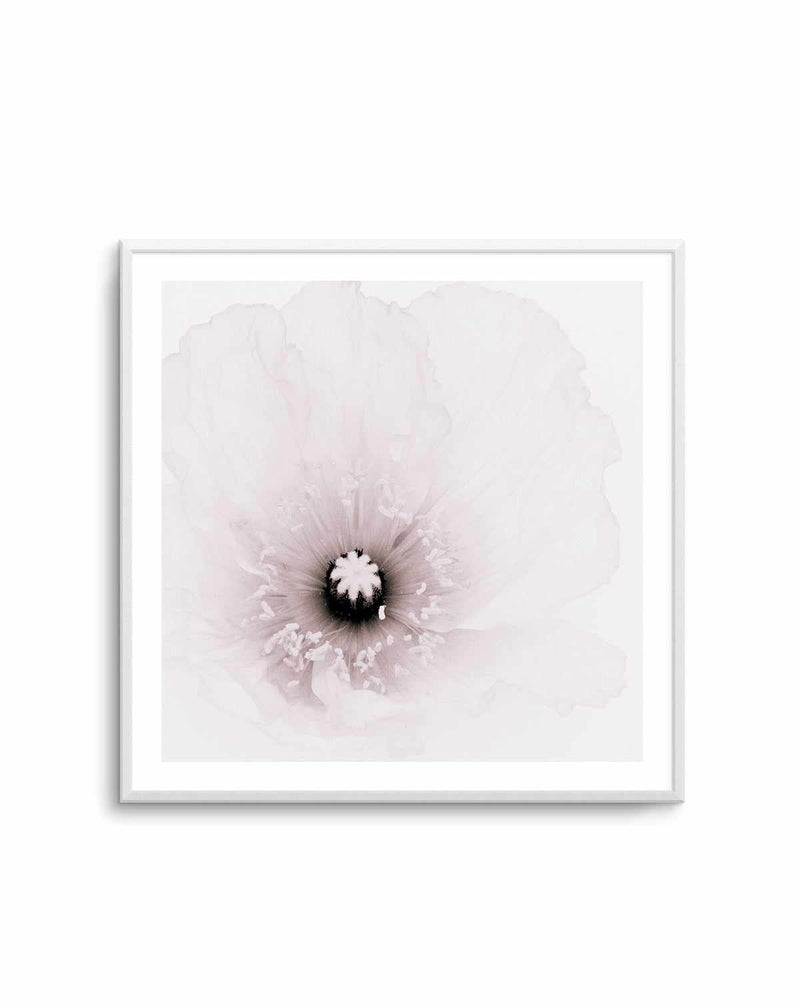 Classic Poppy | Art Print from Olive et Oriel where you can shop wallpaper and artworks online