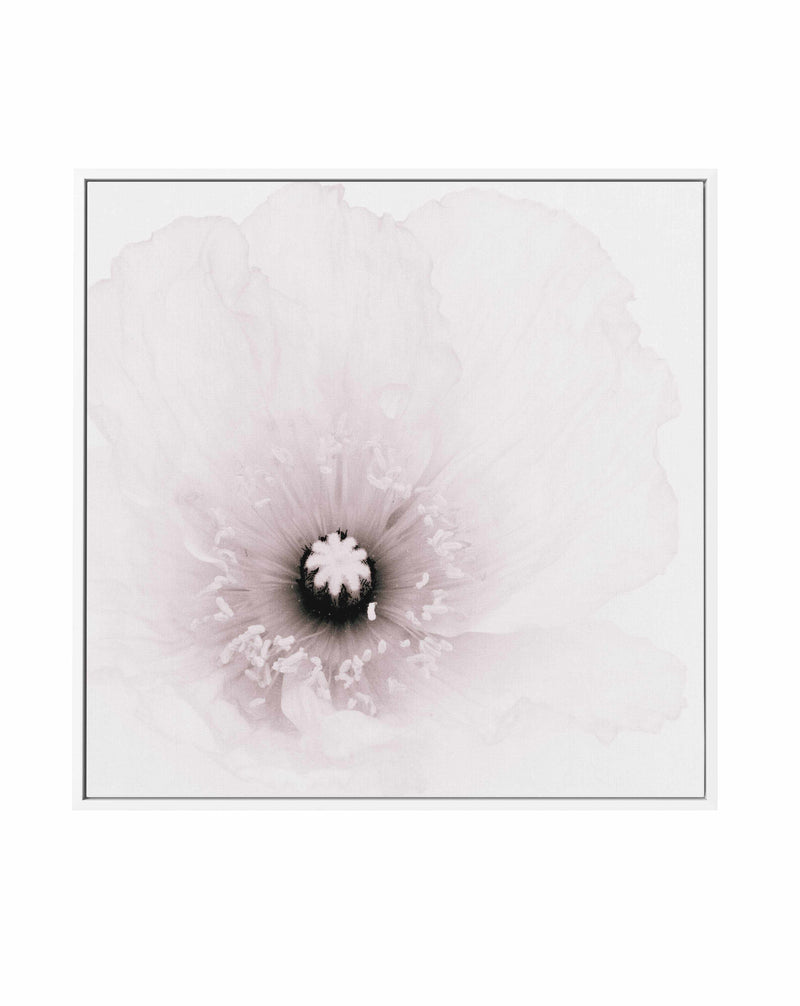 Classic Poppy | Framed Canvas Art Print