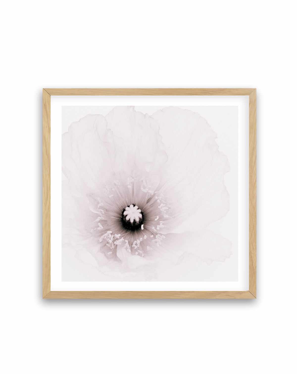 Classic Poppy | Art Print