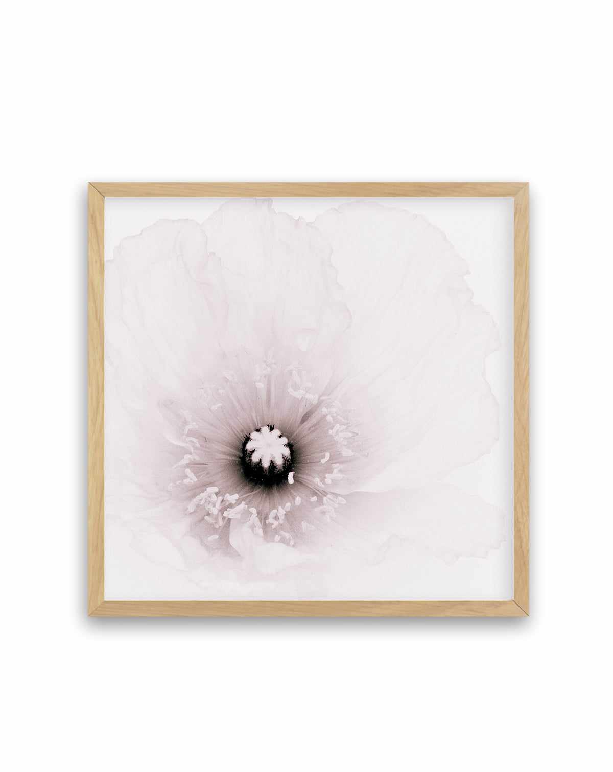 Classic Poppy | Art Print