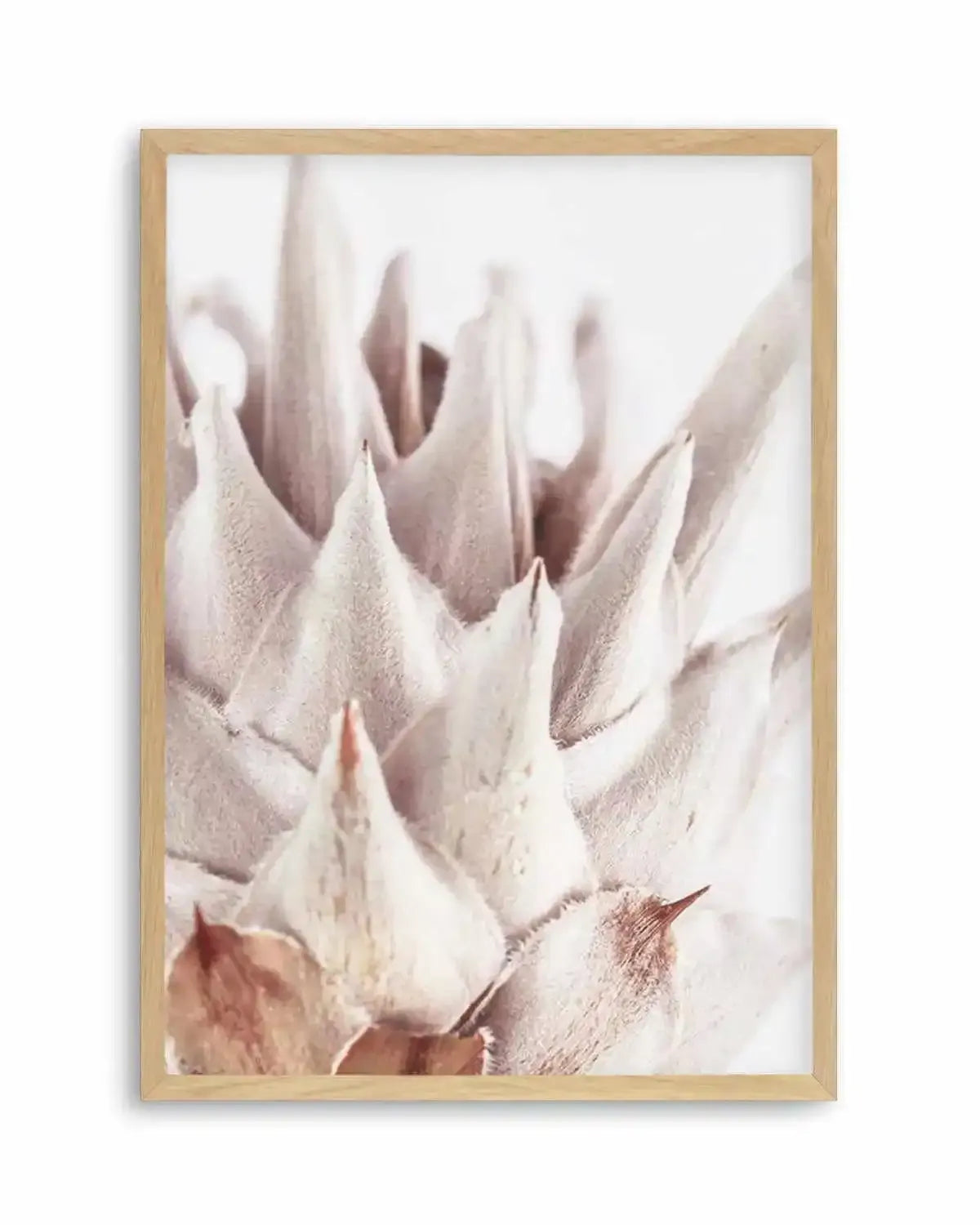 Closer Please | King Protea Art Print from Olive et Oriel where you can shop wallpaper and artworks online