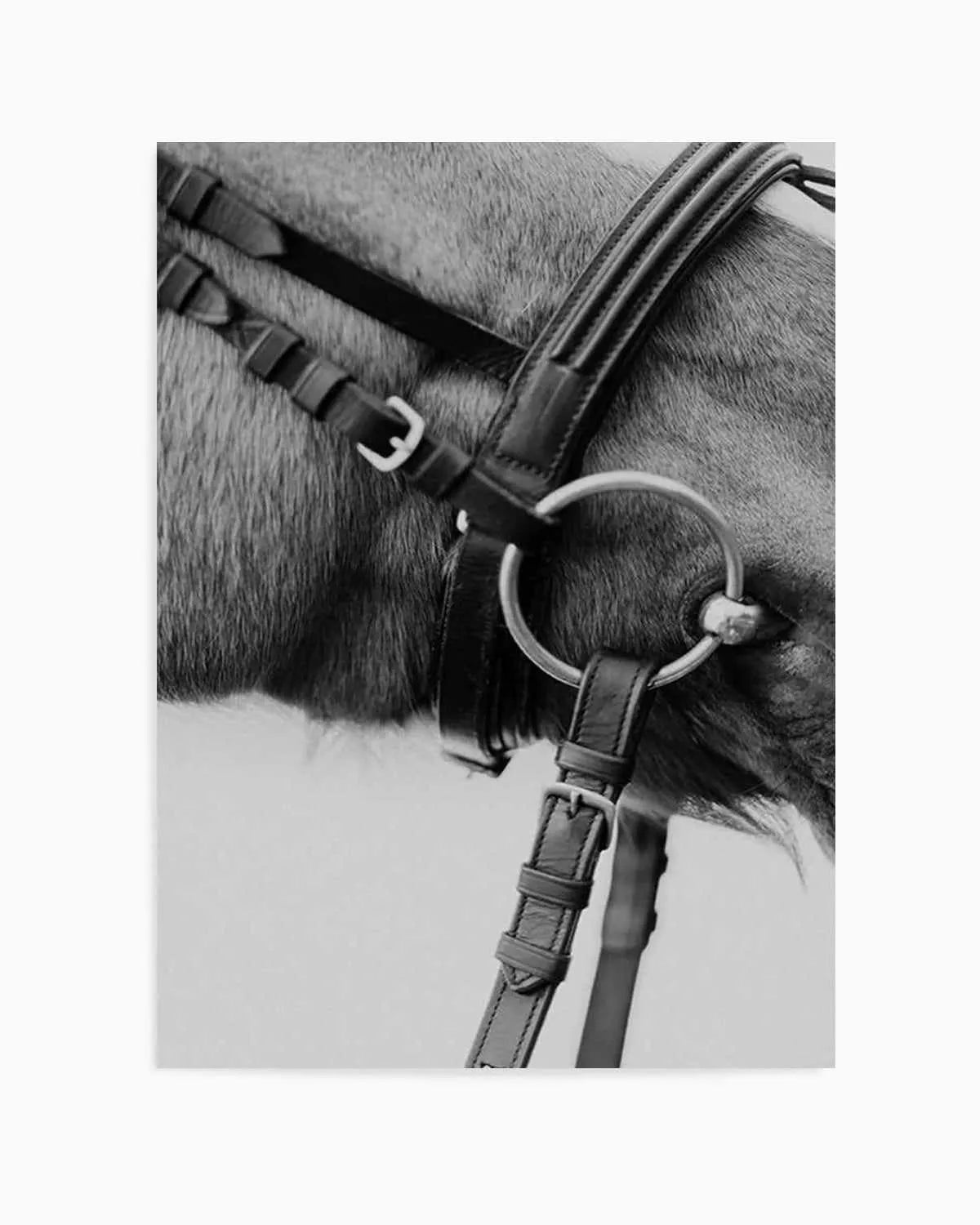 Club Polo I Art Print from Olive et Oriel where you can shop wallpaper and artworks online