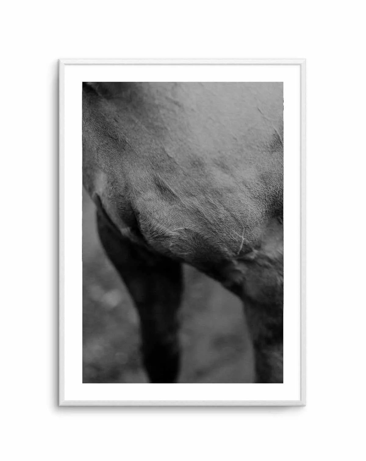 Club Polo II Art Print-PRINT-Olive et Oriel-Olive et Oriel-Buy-Australian-Art-Prints-Online-with-Olive-et-Oriel-Your-Artwork-Specialists-Austrailia-Decorate-With-Coastal-Photo-Wall-Art-Prints-From-Our-Beach-House-Artwork-Collection-Fine-Poster-and-Framed-Artwork