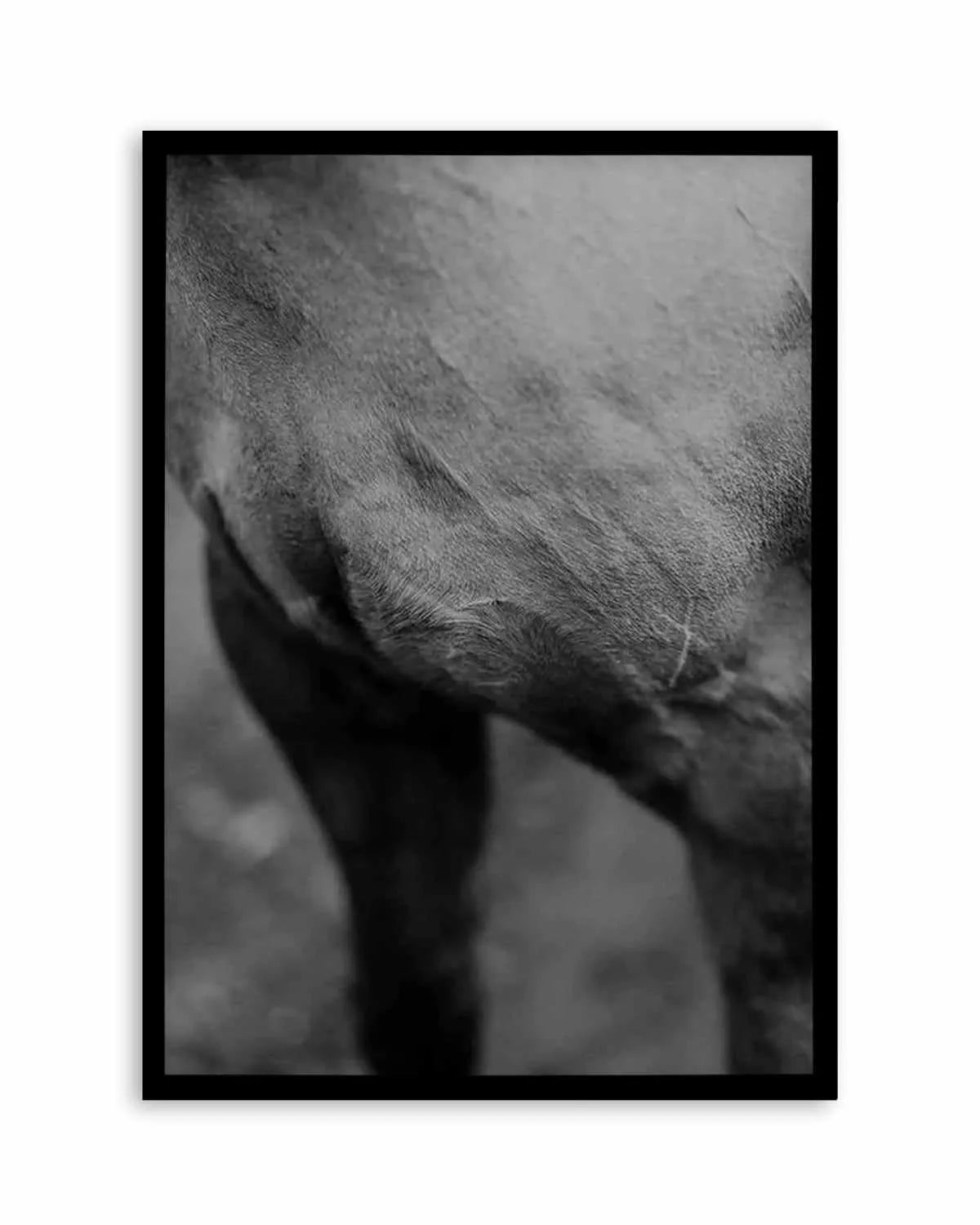 Club Polo II Art Print from Olive et Oriel where you can shop wallpaper and artworks online