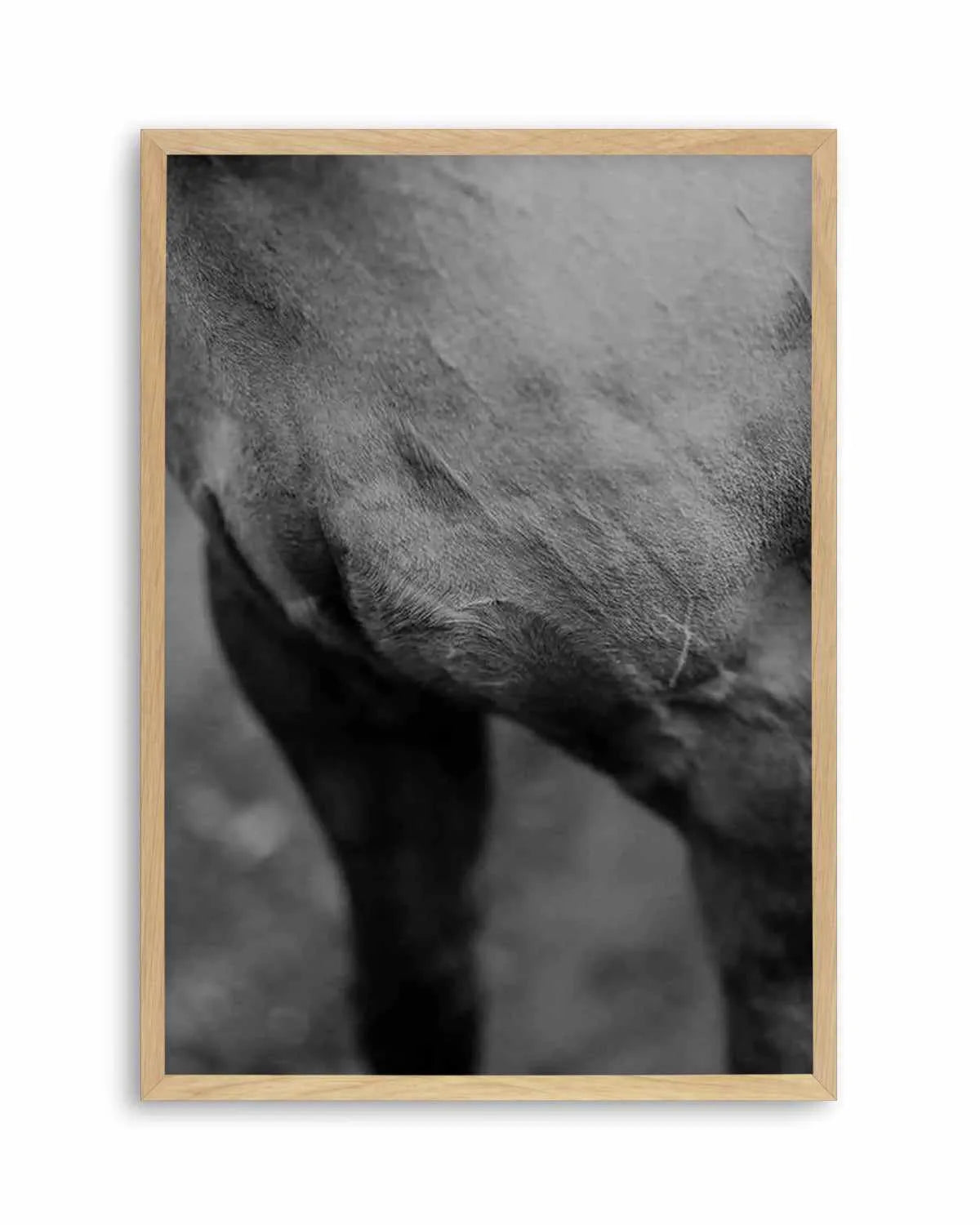 Club Polo II Art Print from Olive et Oriel where you can shop wallpaper and artworks online