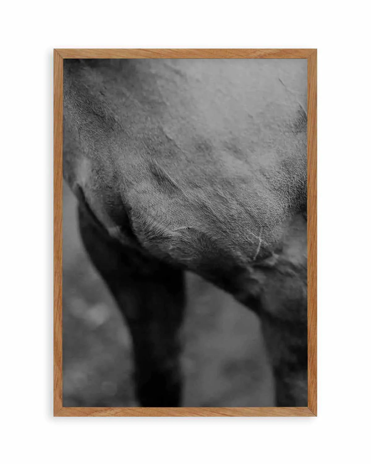 Club Polo II Art Print from Olive et Oriel where you can shop wallpaper and artworks online