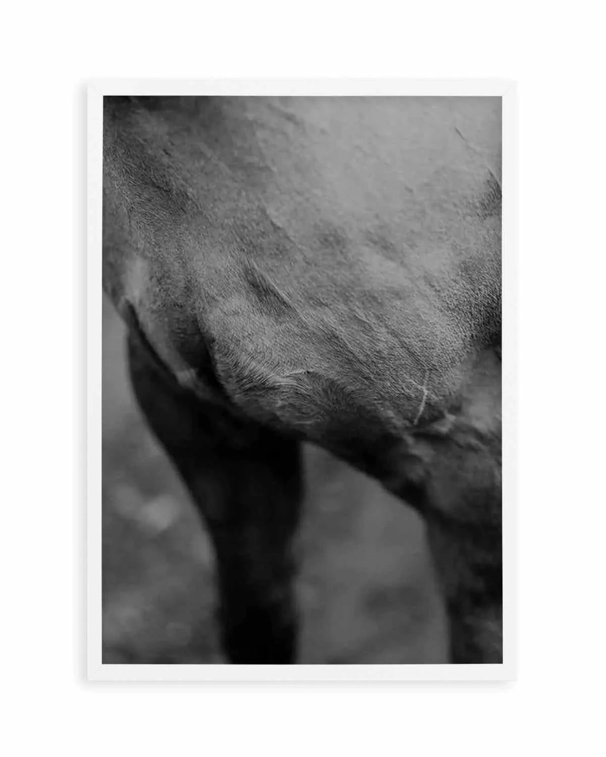 Club Polo II Art Print from Olive et Oriel where you can shop wallpaper and artworks online