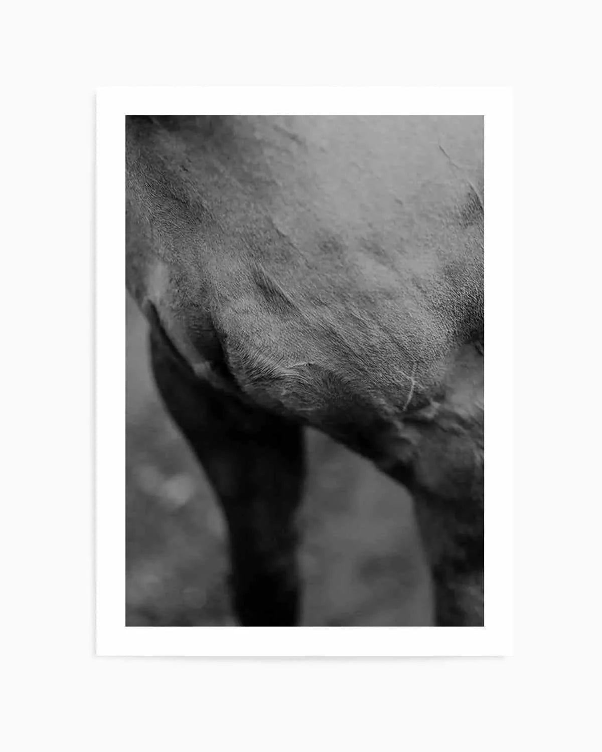 Club Polo II Art Print from Olive et Oriel where you can shop wallpaper and artworks online